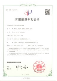 實(shí)用新型專(zhuān)利十七