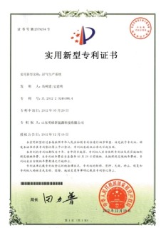 實(shí)用新型專利五