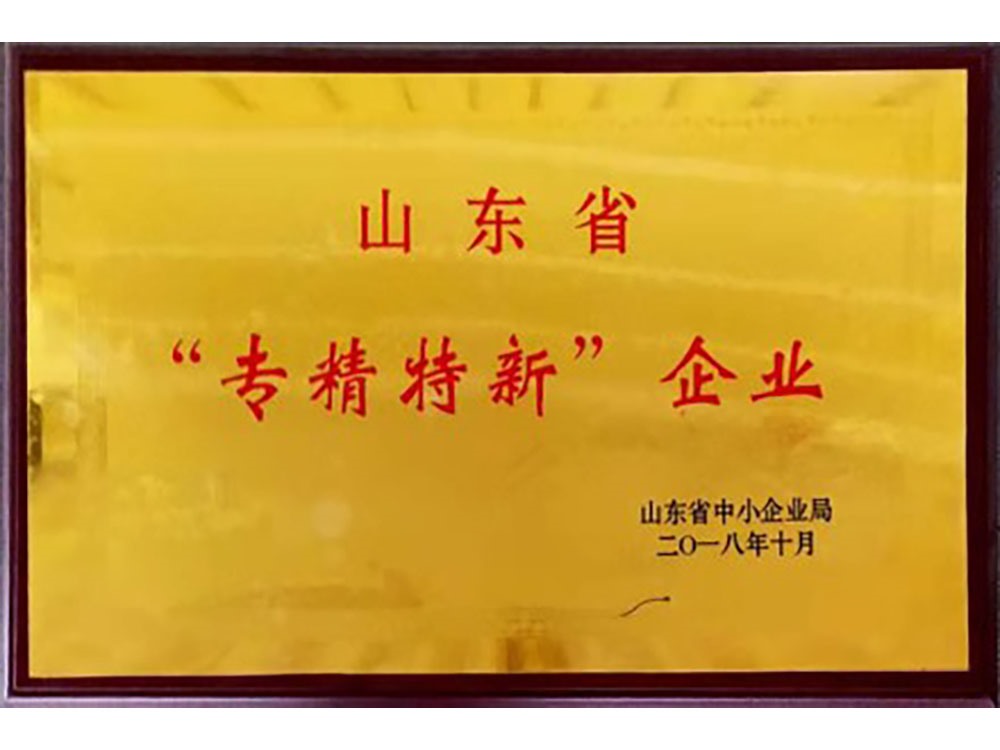 山東省“專精特新”企業(yè)