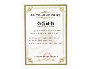 熱烈祝賀明碩環(huán)境集團(tuán)獲得2021年度山東省循環(huán)經(jīng)濟(jì)科學(xué)技術(shù)獎(jiǎng)二等獎(jiǎng)